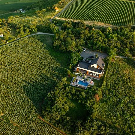 Riverside Pool Villa-Sremski Karlovci Eksteriør billede