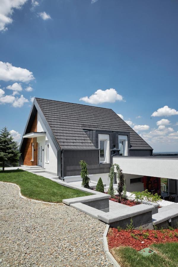 Riverside Pool Villa-Sremski Karlovci Eksteriør billede